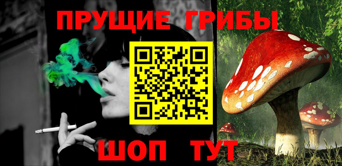 Южно-Сахалинск  Псилоцибиновые грибы прущие грибы  наркота  Галлюциногенные грибы MAGIC MUSHROOMS  Вход с VPN 
